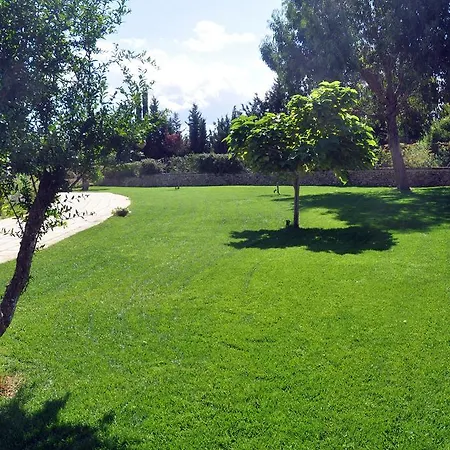 Cuti Mari Lantgård *